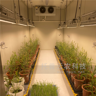 植物生長(zhǎng)室